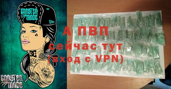 a pvp Белокуриха