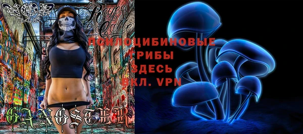 a pvp Белокуриха